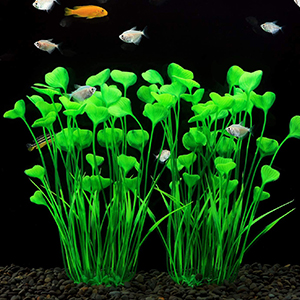 fish tank decor