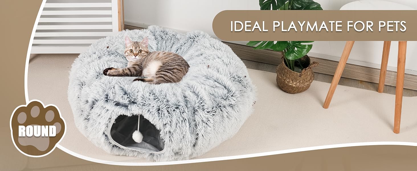 cat tunnel