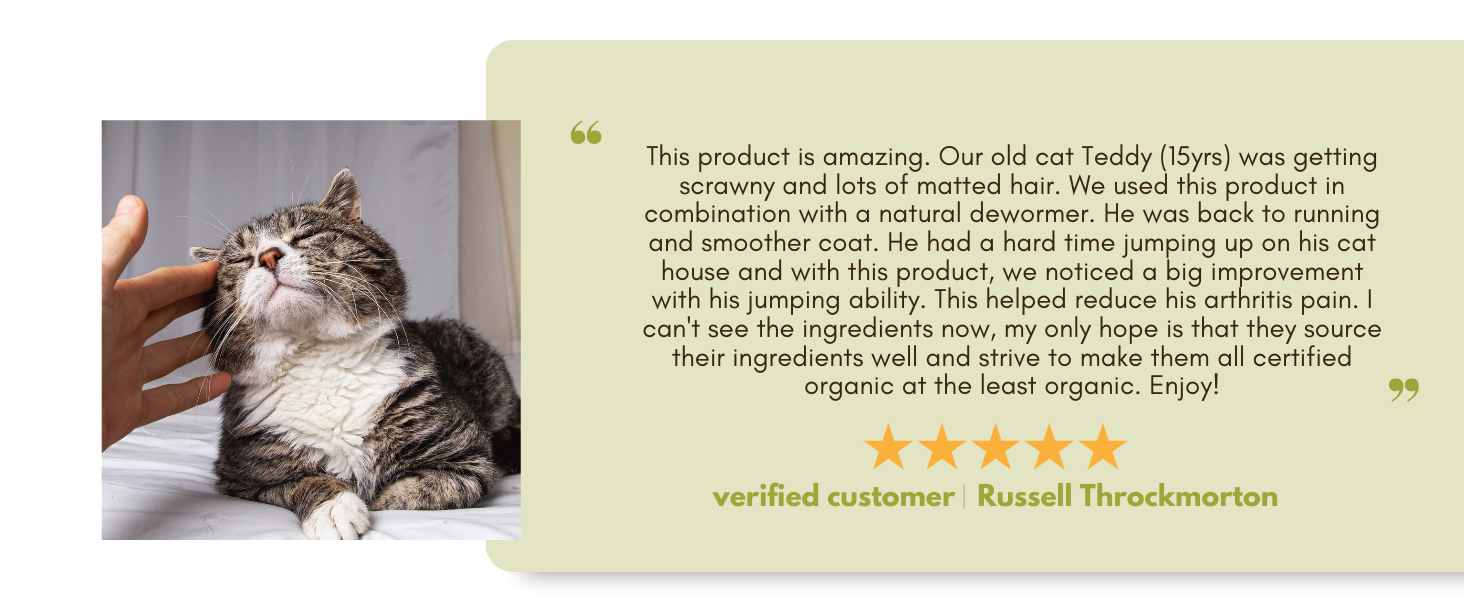 cat skin and coat supplement cat probiotic cat allergy relief supplement cat vitamins probiotics