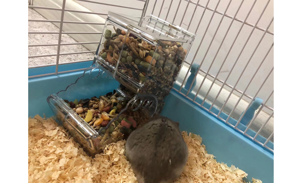 Hamster Automatic Feeder