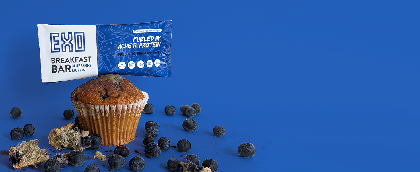 exo breakfast bar blueberry muffin