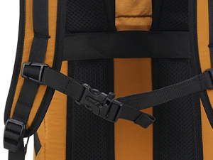 shoulder strap