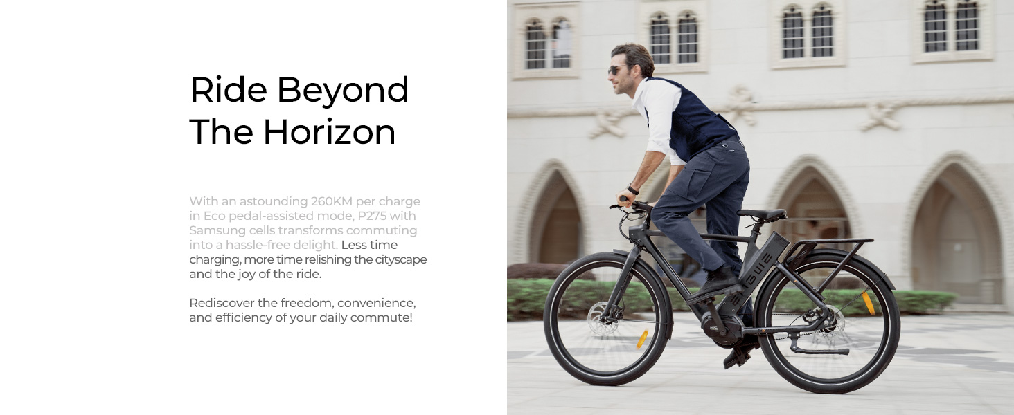 e bike herren