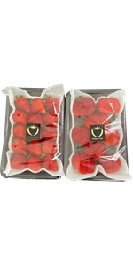 あまおう 冷凍あまおう250g×4P: 九州エリア│DISCOVER WEST mall 【JR