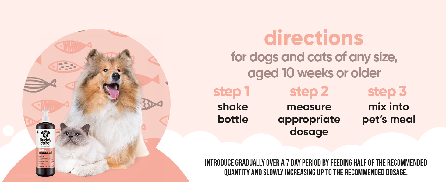 direct for dogs and cats : a guide to the best dog breeds