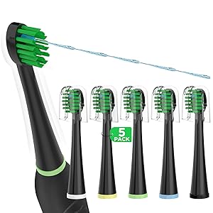waterpik sonic fusion replacement toothbrush heads