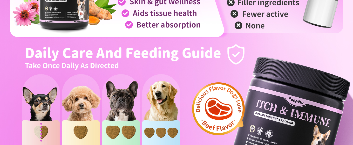daily care and feeding guide