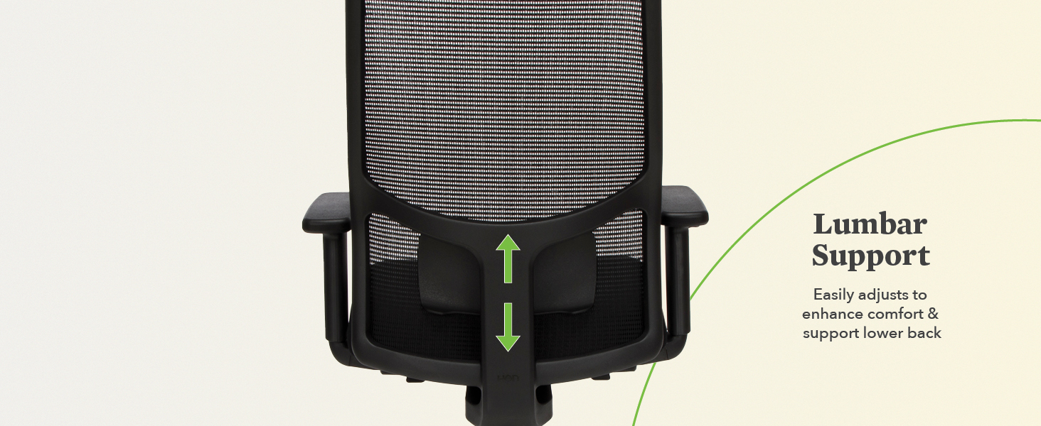 Lumbar Support