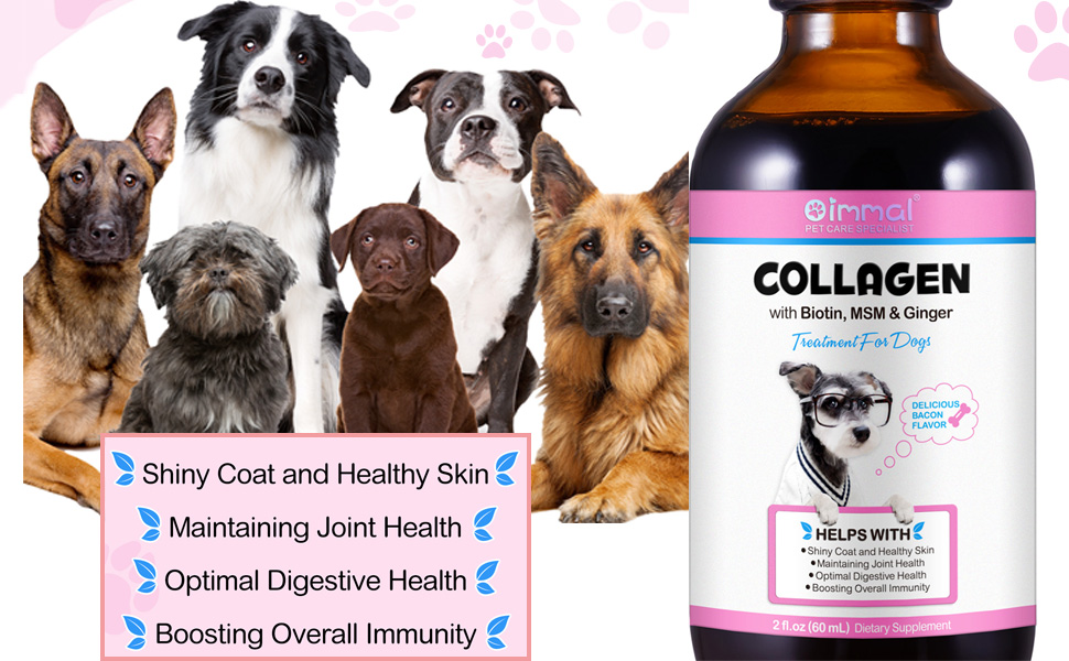 pour chiens dans un flacon brun, présentant des avantages tels que la santé du pelage et l'entretien des articulations. Plusieurs races de chiens sont représentées.