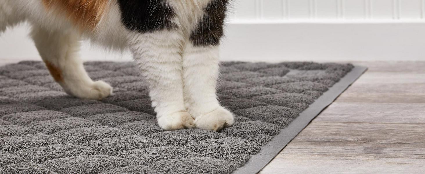 Soft Coil Topside on cats Paws on top of cat litter mat