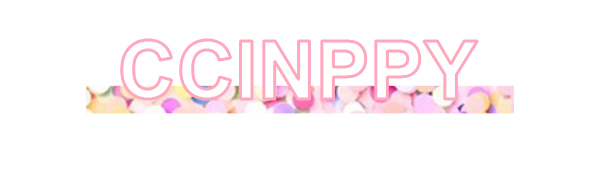 stanley cup accessories