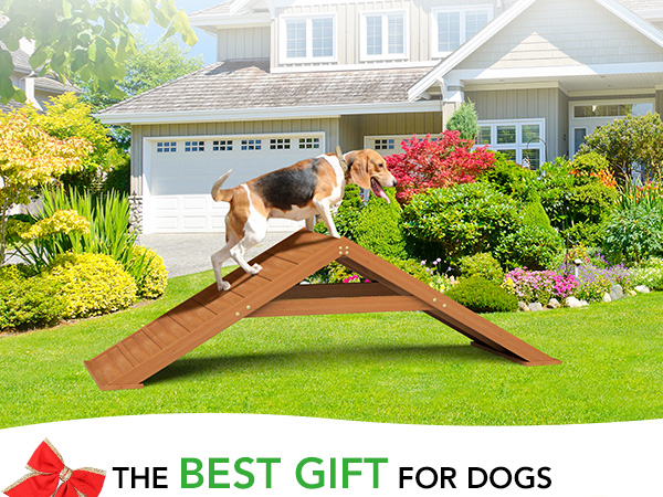 How to Build Your Own Dog Agility Equipment: Easy DIY Guide