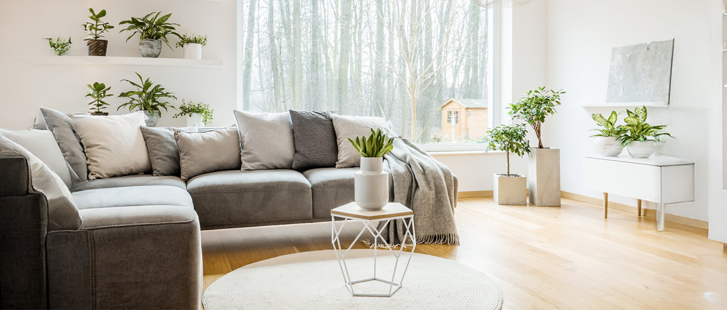 sofa