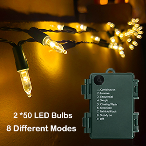 Battery Operated Christmas Lights