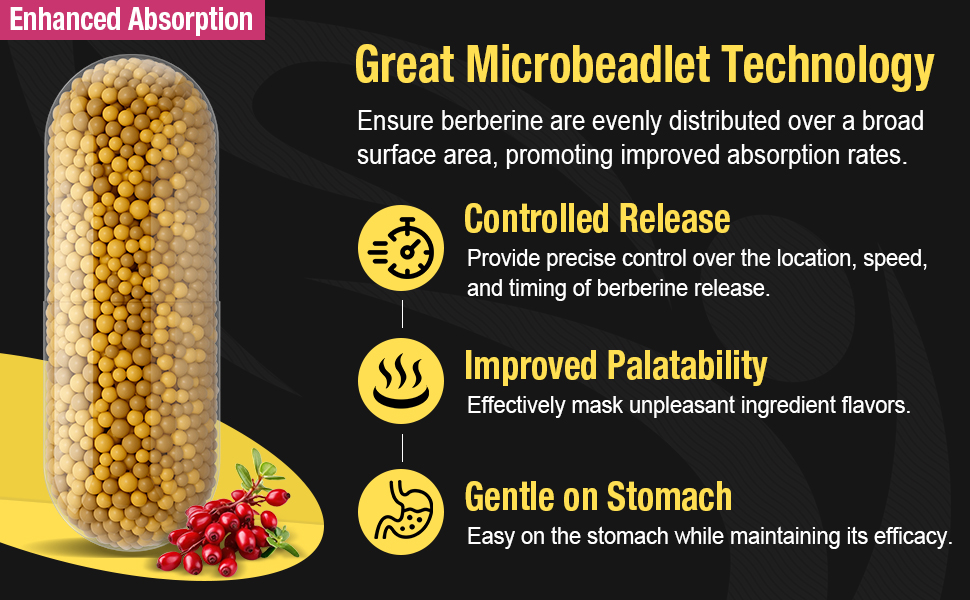 Berberine Supplement