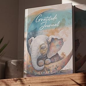Gratitude Journal for Mindfulness on Shelve