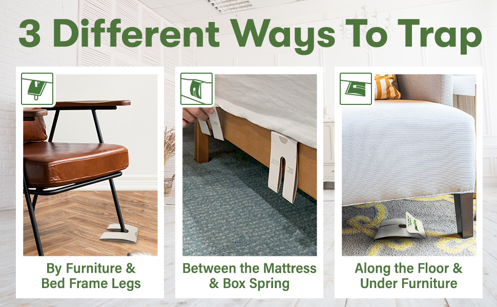 BugMD Bed Bug Trap (1 Pack, 12 Traps) Interceptors, Bed Bug Prevention, Glue