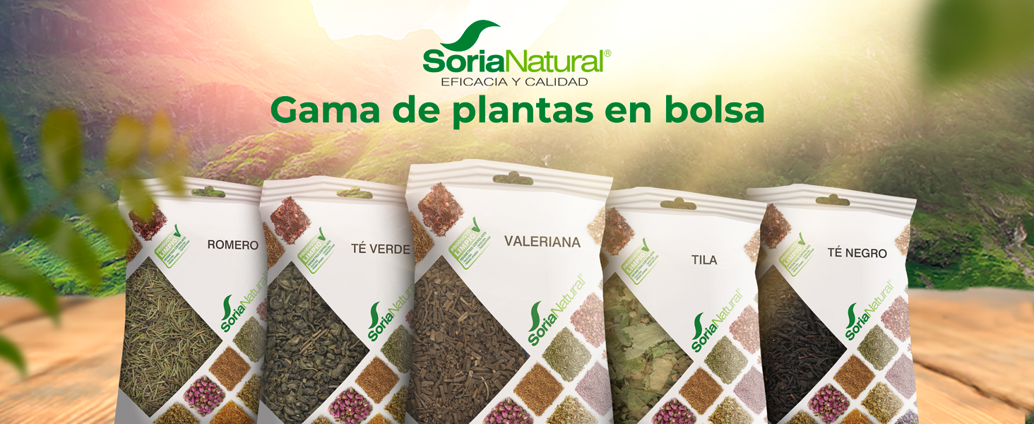 Plantas en bolsa