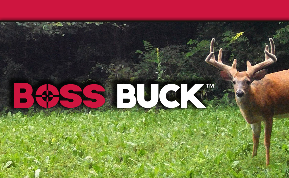 Boss Buck Feeder Feast 40lb Corn and Fire Roasted Soybean Deer Feed Attractant