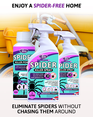 spider catcher repellent peppermint oil killer spray long handle plug in trap catchers for the  home