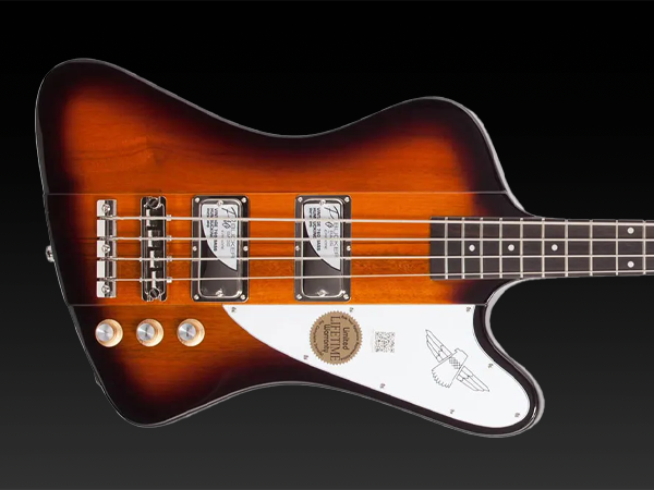 Amazon.com: Epiphone Thunderbird E1, Electric Bass Guitar