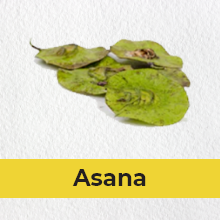 Small manufacture image 7