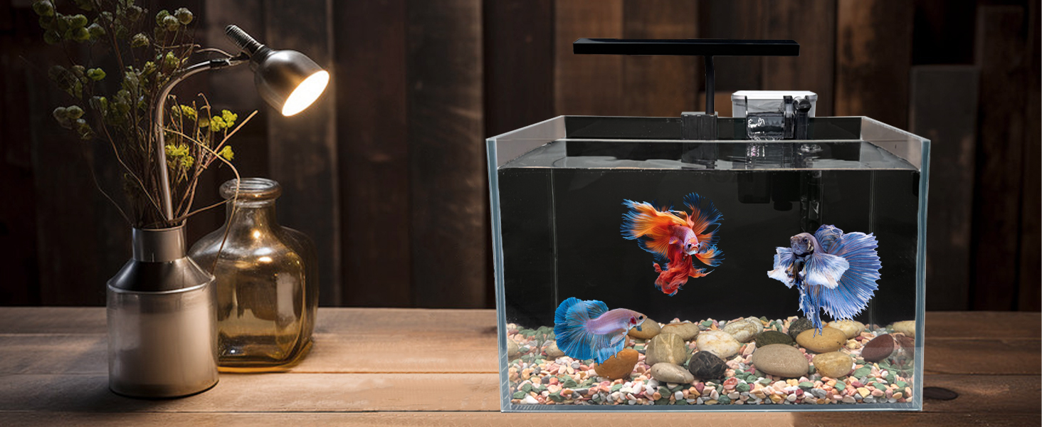 betta fish tank on tables