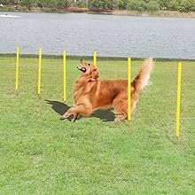 Outdoor Weave Poles