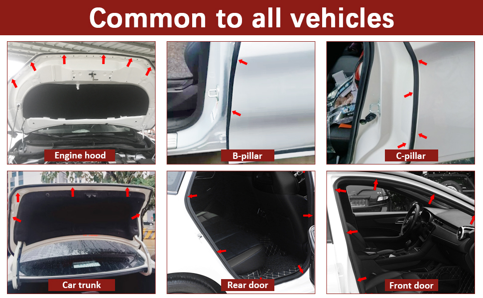 Universal Car Door Seal Strip 12m Large DShape Self Adhesive