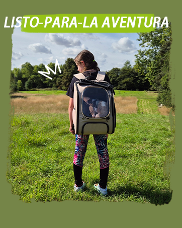 Pecute Large Portable Pet Travel Bag with Pockets Multifunctional Organizer for Outdoor Use Travel Set with 2 Food Bags + 2 Collapsible Bowls 20 aplus content image