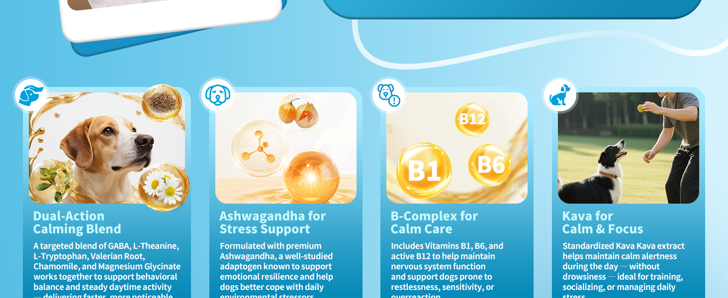 calming chews for dogs