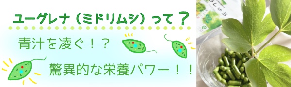 【未開封・送料込】2か月分 ユーグレナ・ファームの緑汁 ユーグレナ入り飲料『緑汁（みどりじる）』の姉妹品を新発売毎日