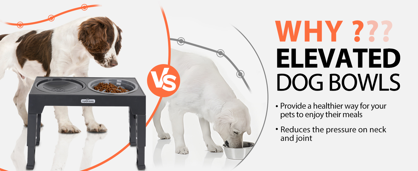 Imagen comparativa que muestra cuencos para perros elevados y estándar, con una estación de alimentación elevada con plataforma negra y texto informativo sobre los beneficios.
