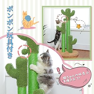 Amazon | PAWZ Road 猫 爪研ぎポール サボテン 縦型 かわいい 爪