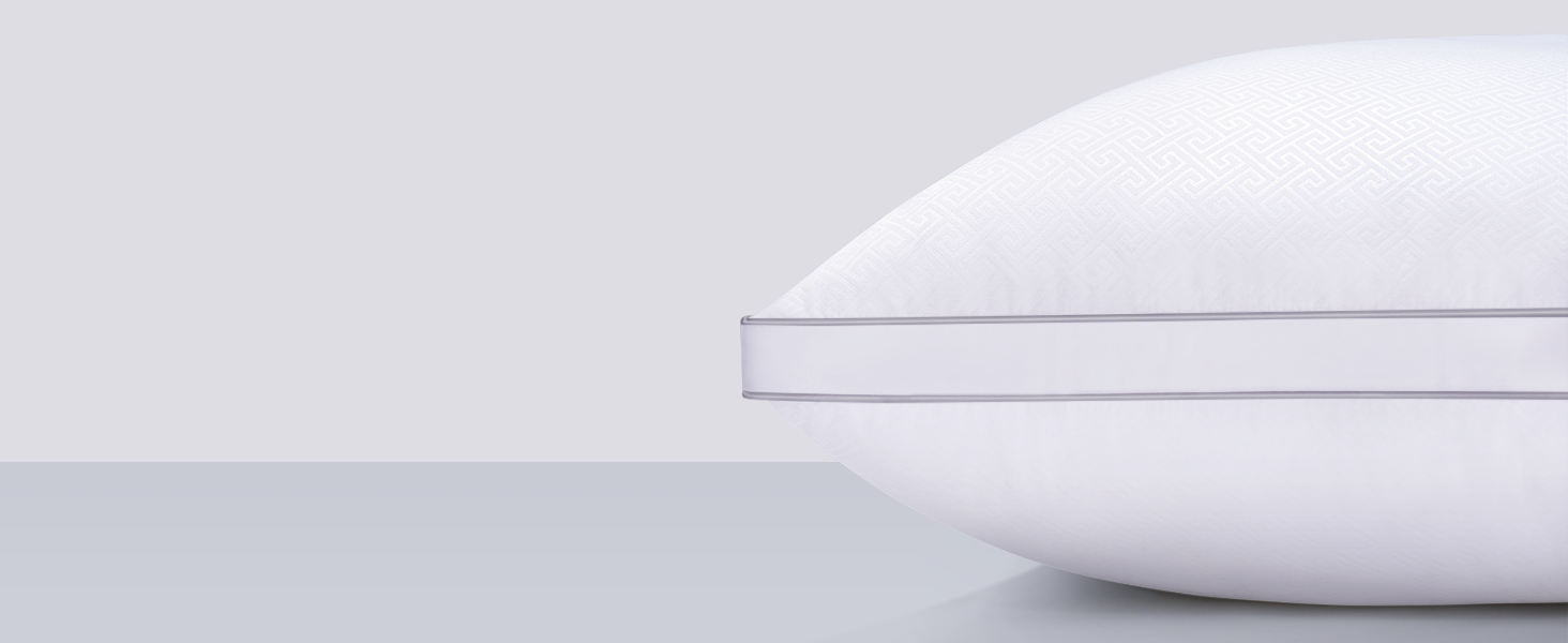 viewstar Pillows Standard Size Set of 2, Standard Pillows 2