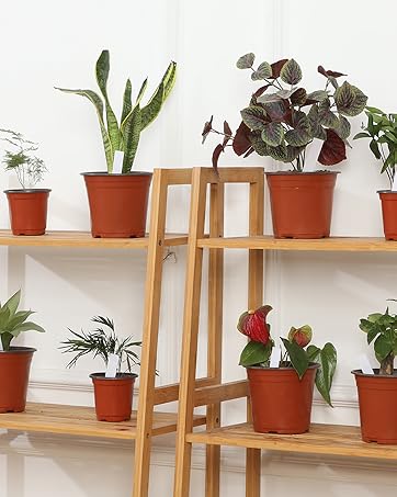 enjoy gardening enjoy life