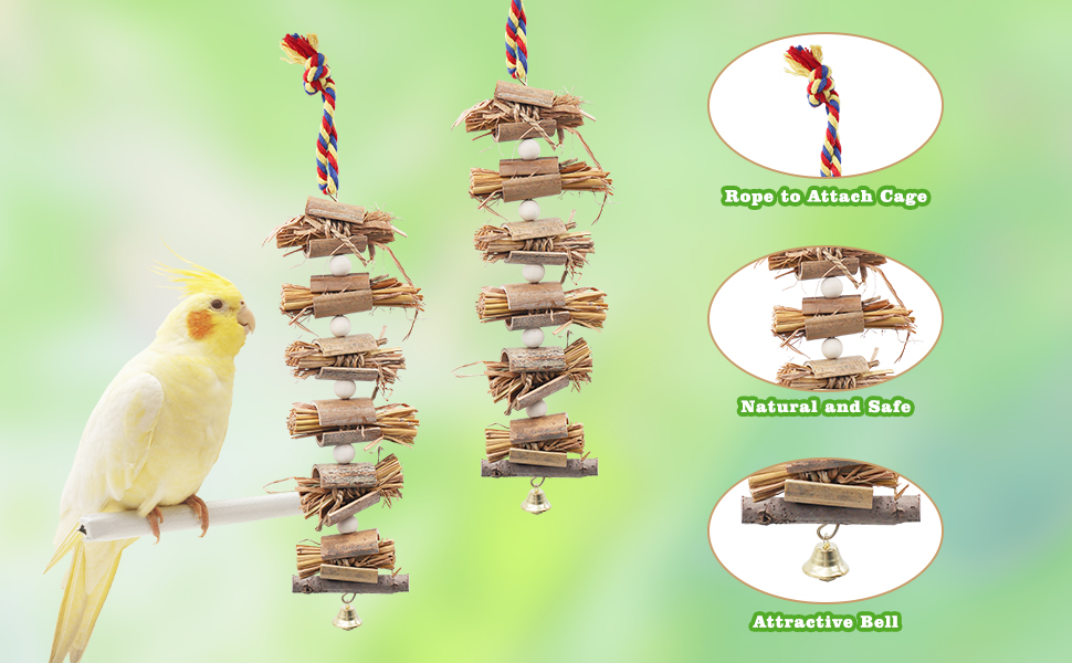 Parakeet Toys in Cage, Parrot Cage Accessories