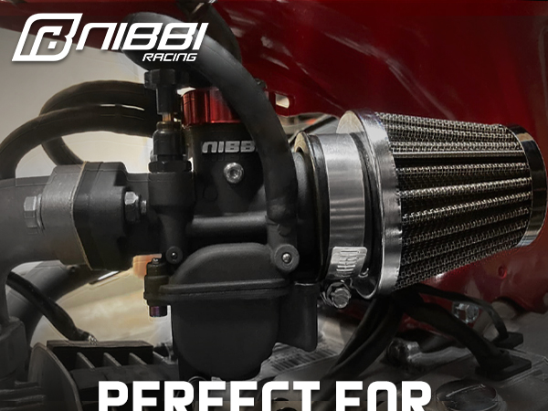 Amazon.com: NIBBI Carburetor PE19mm, Fits 110cc 125cc Flange