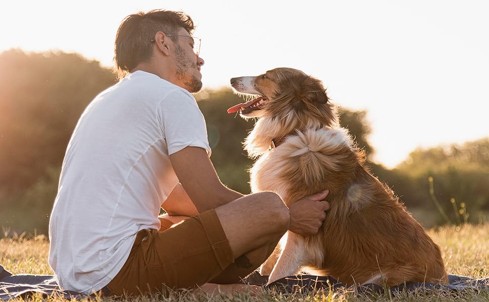 perchero organizador para perros mascotas 