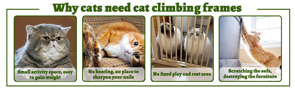 corn-shaped cat scratching post