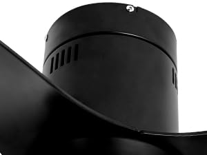 Ceiling fan with light motor detail