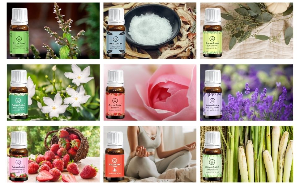 Large manufacture image 5