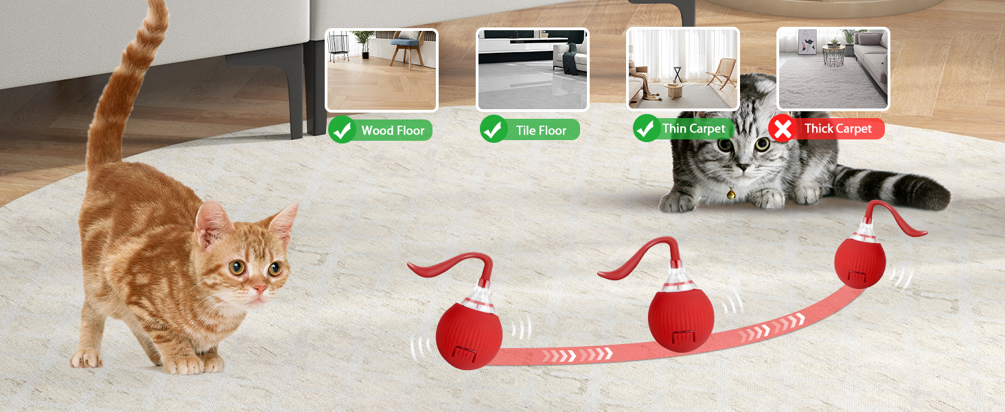 Cat Toys