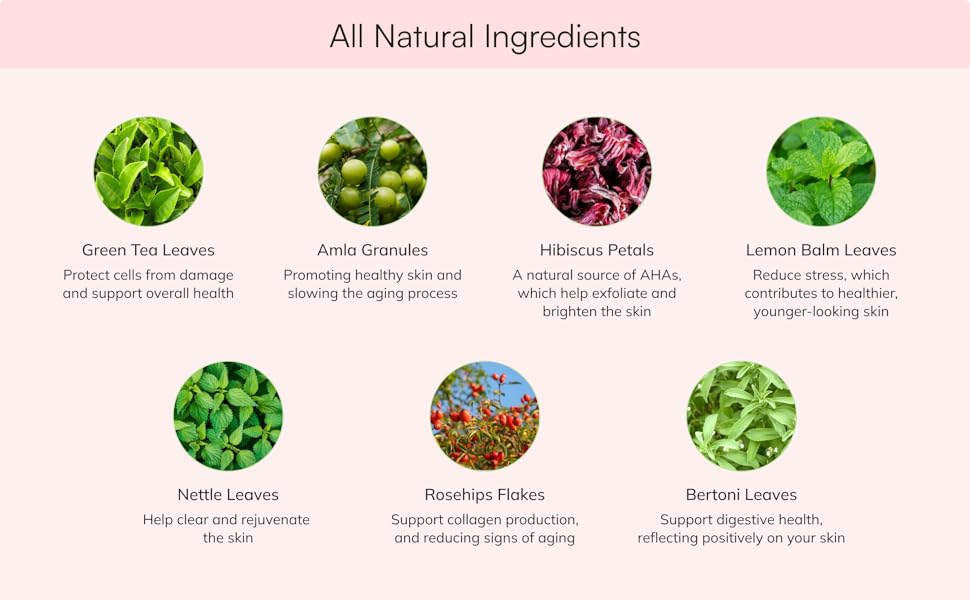 Green Tea Leaves Amla Hibiscus Petals Lemon Balm Leaves Nettle Rosehips