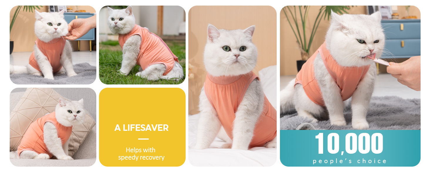 Collage di gatti bianchi che indossano tute da recupero arancioni. Diverse immagini mostrano gatti in posa diverse, evidenziando la copertura totale del corpo del capo