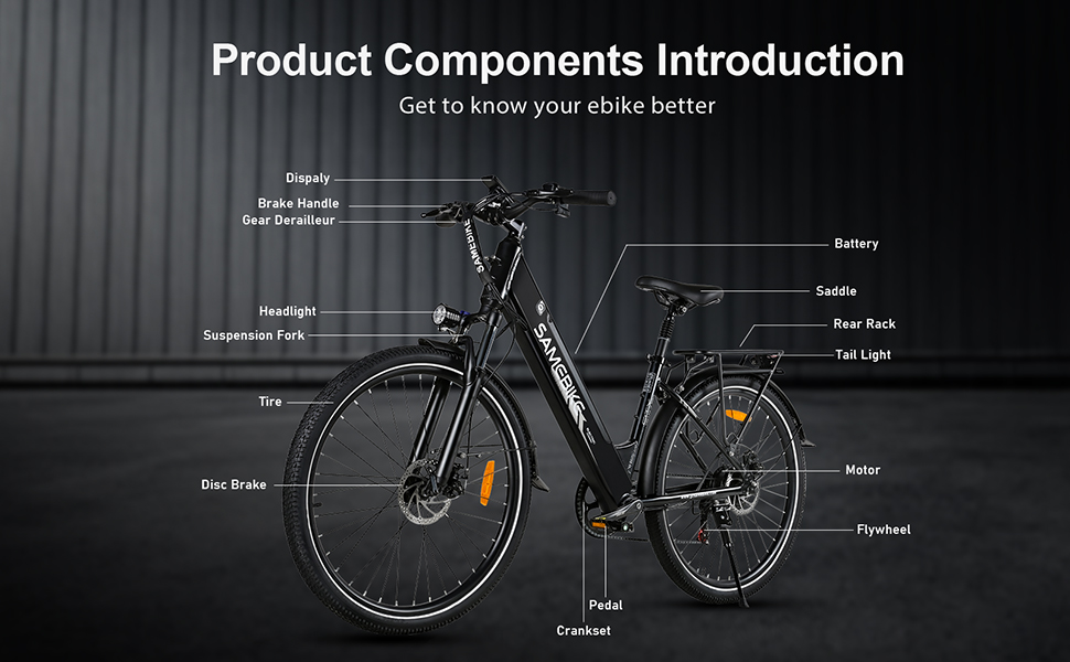 bicicletta elettrica