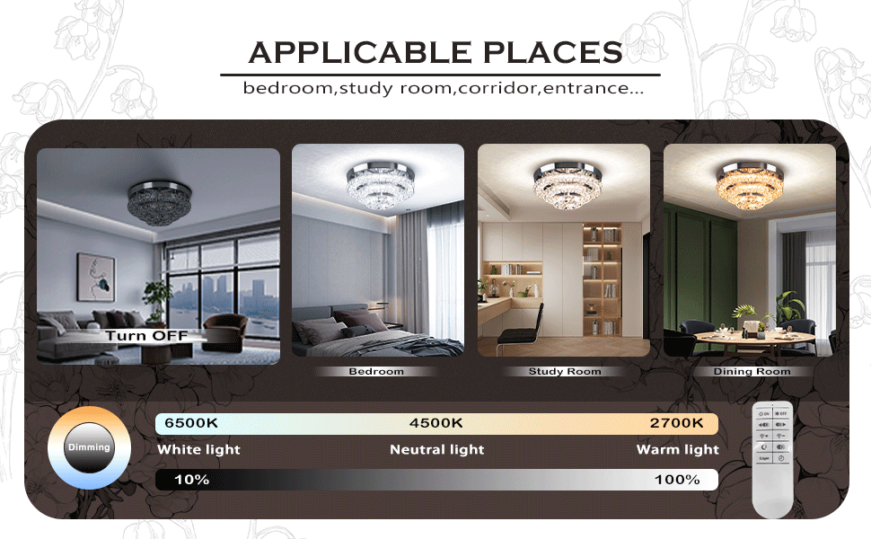 Cainjiazh 11.8" Ceiling Light Modern Crystal Chandeliers LED Crystal