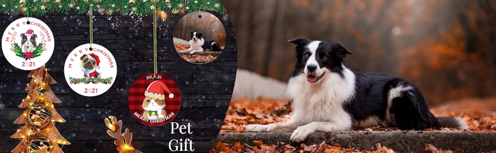 Pet Gift