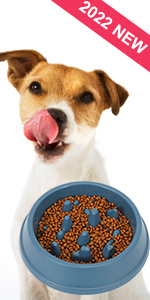 Dog Bowl Slow Feeder Medium