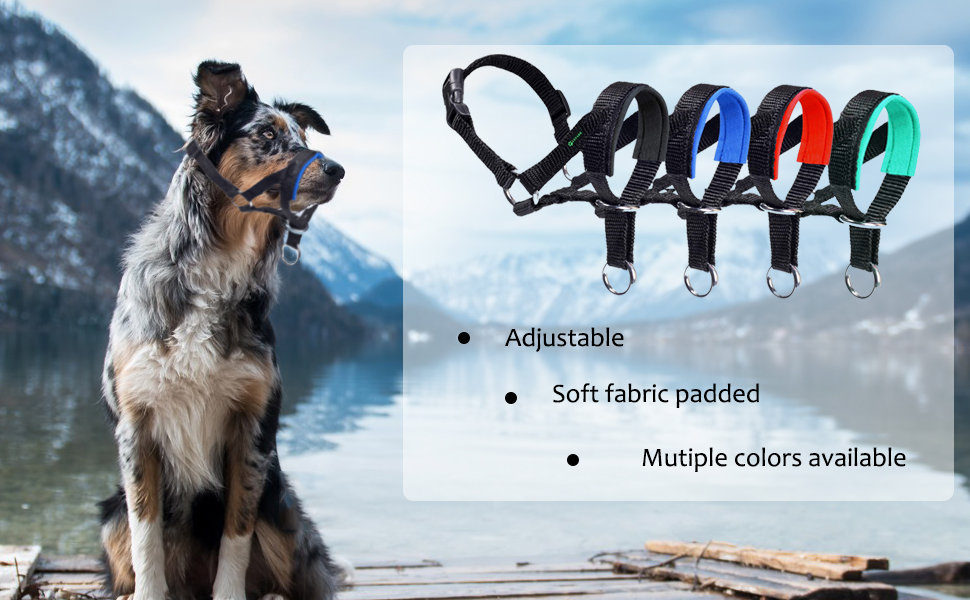 ILEPARK Dog Head Collar with Padded Fabric, Head Harness for Dogs, Anti